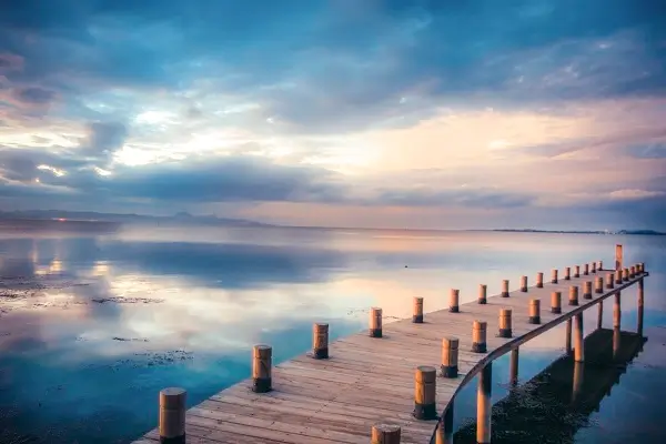 法律制定机制是什么制度