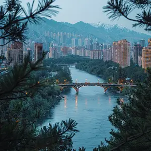 转账在法律意义代表什么