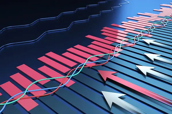 鱼字有笔顺怎么写，正确写法详解